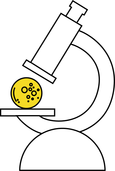 Funding Structure